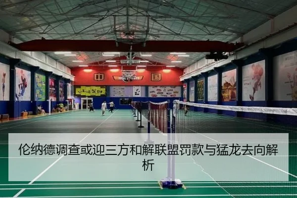 伦纳德调查或迎三方和解联盟罚款与猛龙去向解析